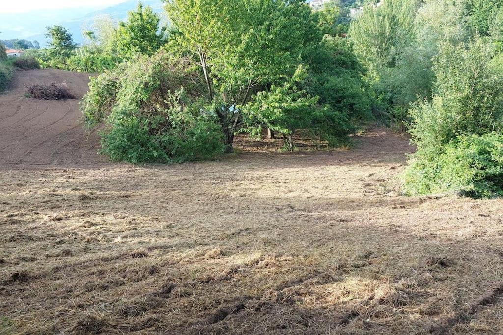 バイアン Quinta Dos Castros Douroヴィラ エクステリア 写真