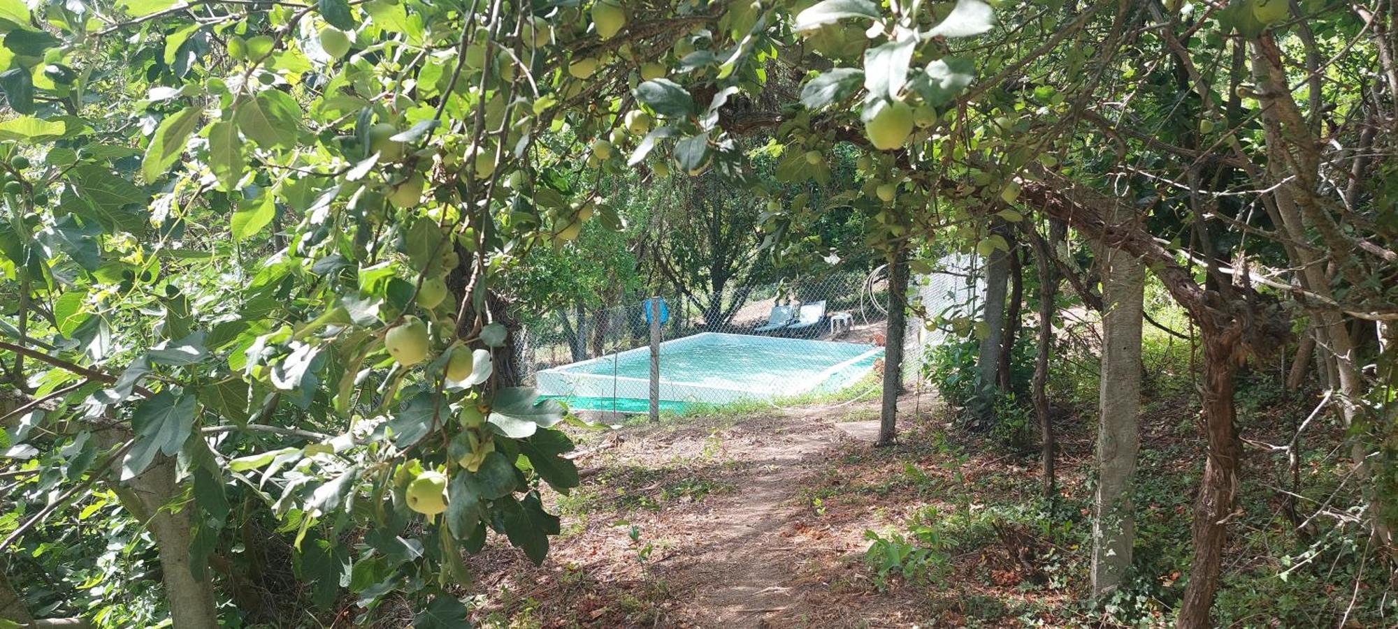 バイアン Quinta Dos Castros Douroヴィラ エクステリア 写真