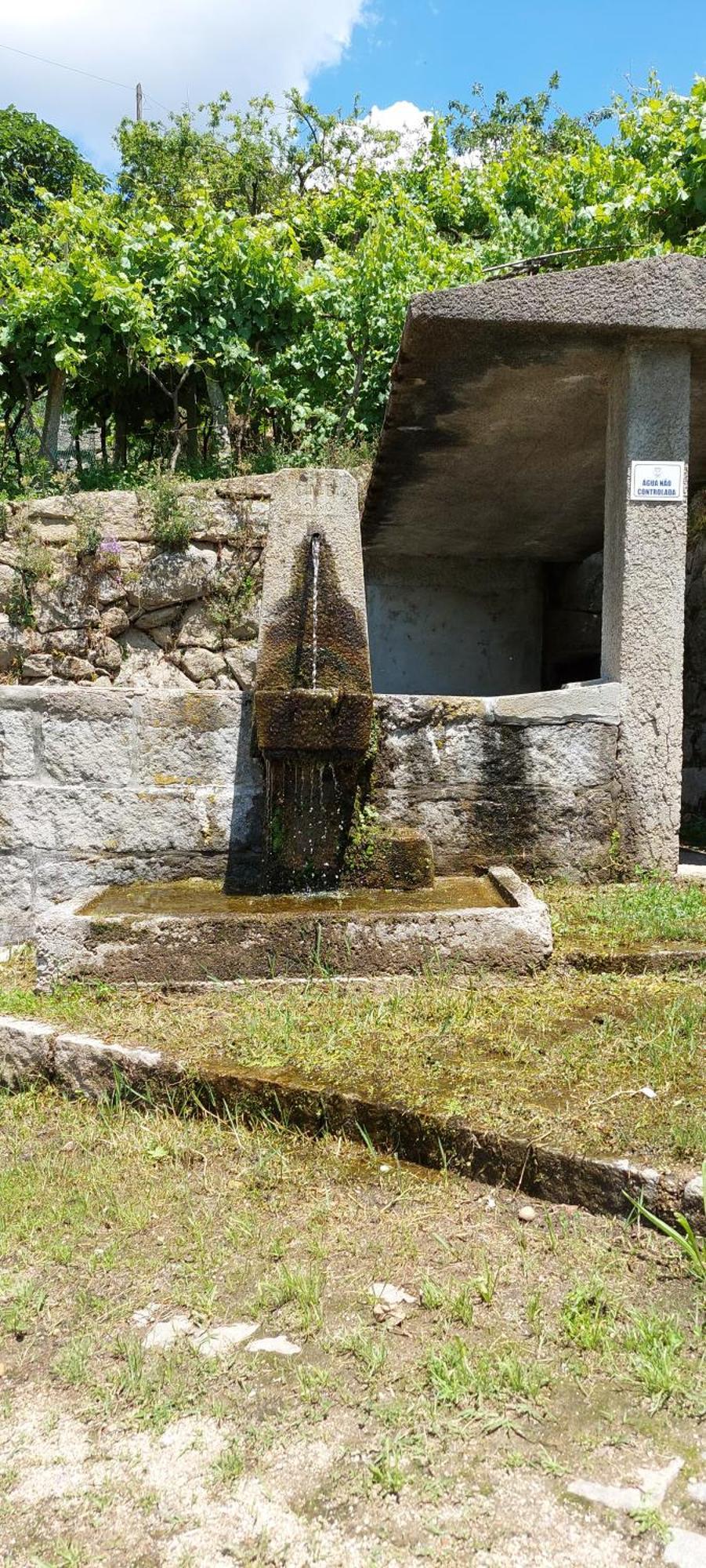 バイアン Quinta Dos Castros Douroヴィラ エクステリア 写真