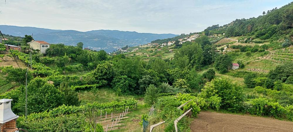 バイアン Quinta Dos Castros Douroヴィラ エクステリア 写真
