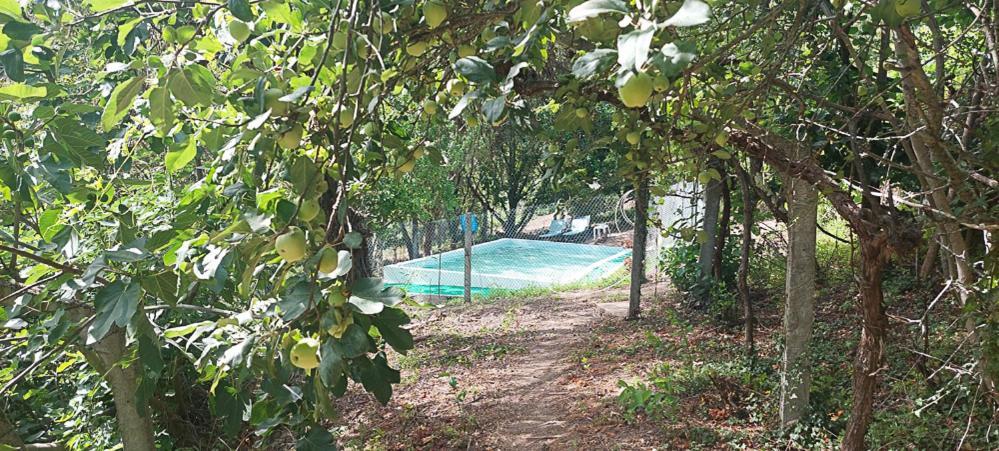 バイアン Quinta Dos Castros Douroヴィラ エクステリア 写真