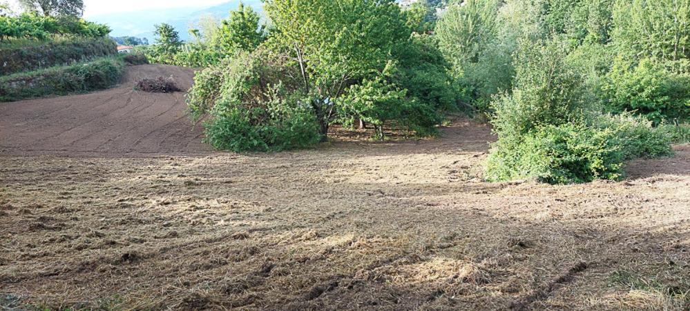 バイアン Quinta Dos Castros Douroヴィラ エクステリア 写真