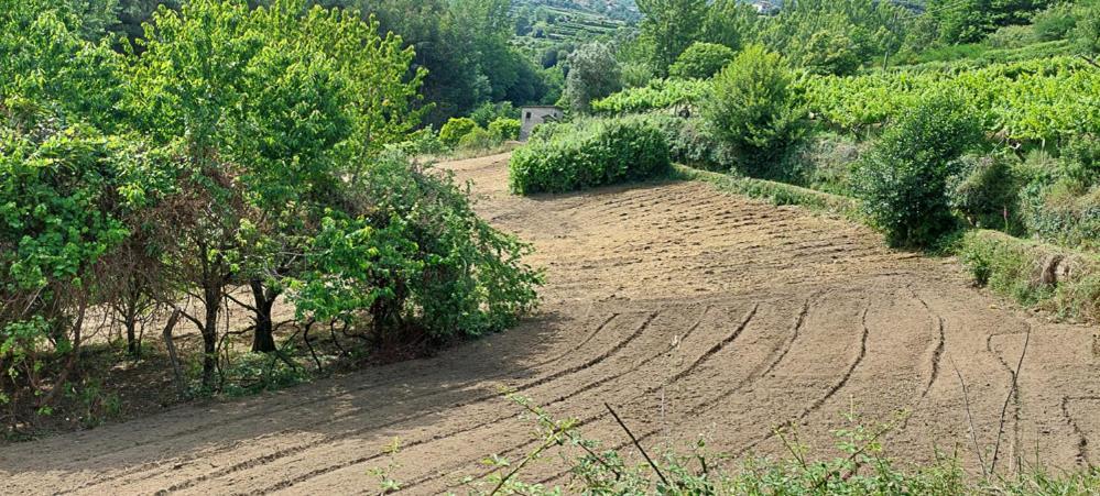 バイアン Quinta Dos Castros Douroヴィラ エクステリア 写真