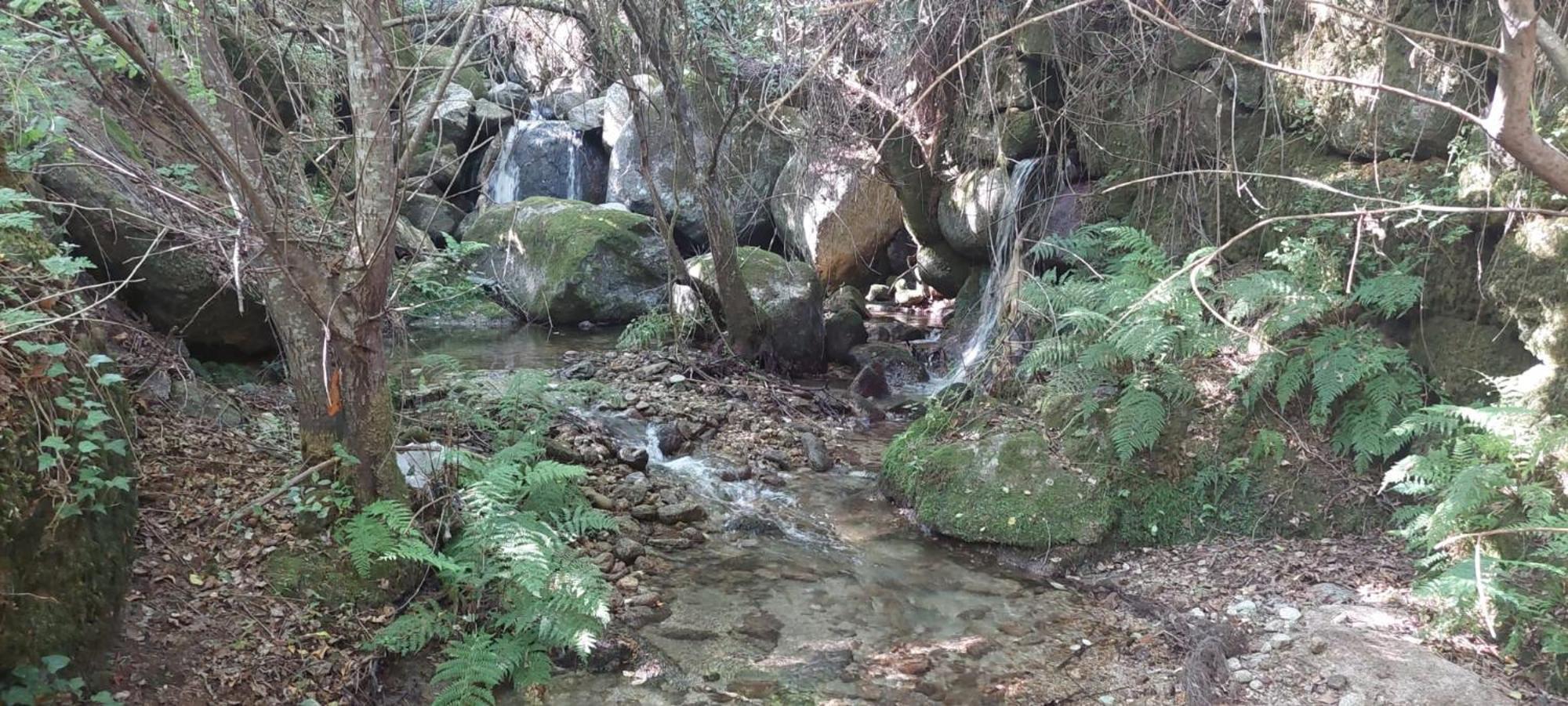 バイアン Quinta Dos Castros Douroヴィラ エクステリア 写真