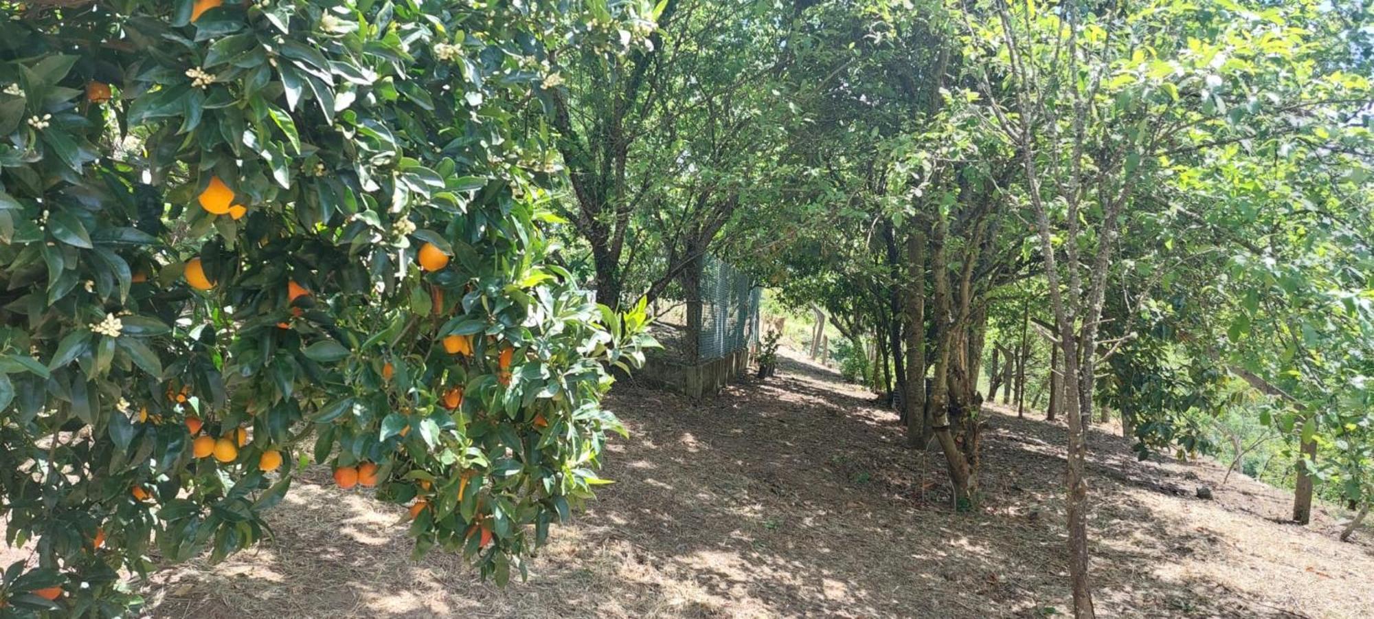 バイアン Quinta Dos Castros Douroヴィラ エクステリア 写真