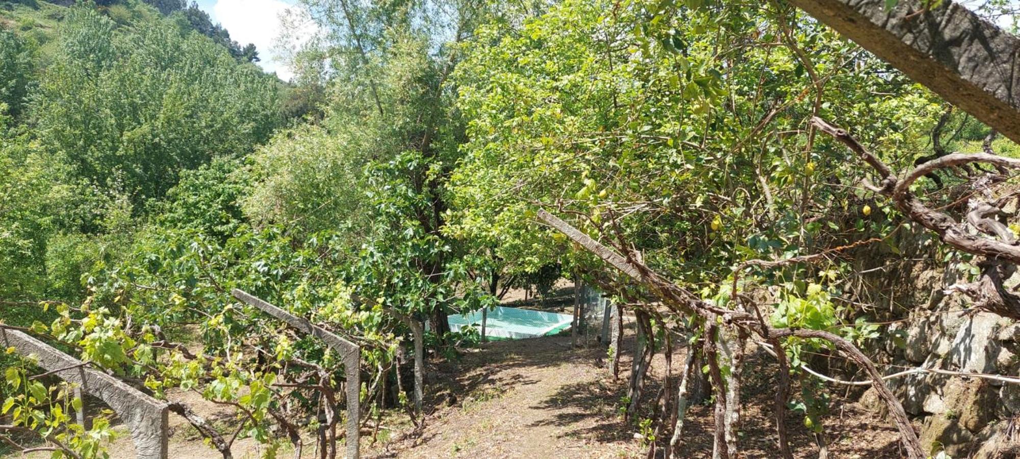 バイアン Quinta Dos Castros Douroヴィラ エクステリア 写真